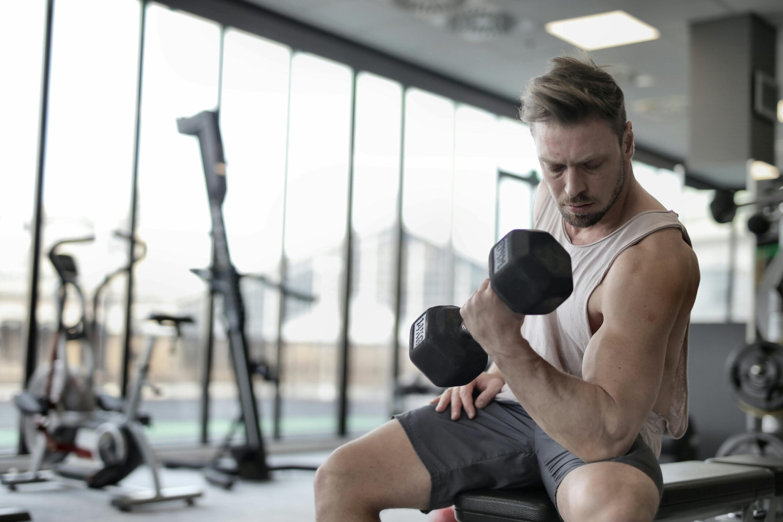 foods that help build muscle naturally with protein and balanced nutrition